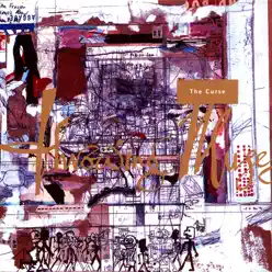 The Curse (Live) - Throwing Muses