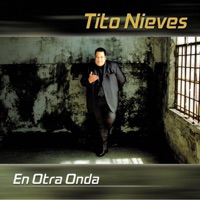 Un Amor Asi - Single - Tito Nieves