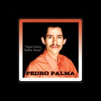 Pedro Palma