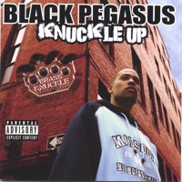 Knuckle UP - Black Pegasus