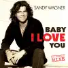 Baby I Love You (Discofox Mix)