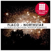 Northstar / Rooftop Romance - Single - Flaco & Calculon