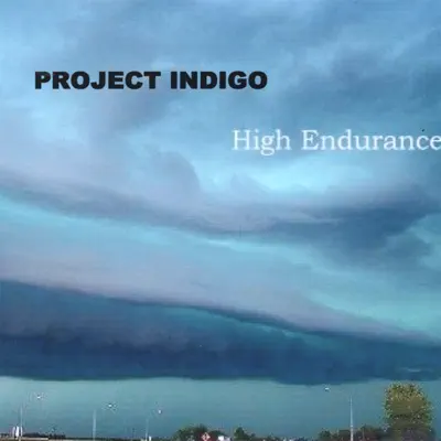 Poslechněte si High Endurance od interpreta Project Indigo
