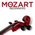 Symphony No. 25 In G Minor, K. 183: I. Allegro Con Brio [wu]