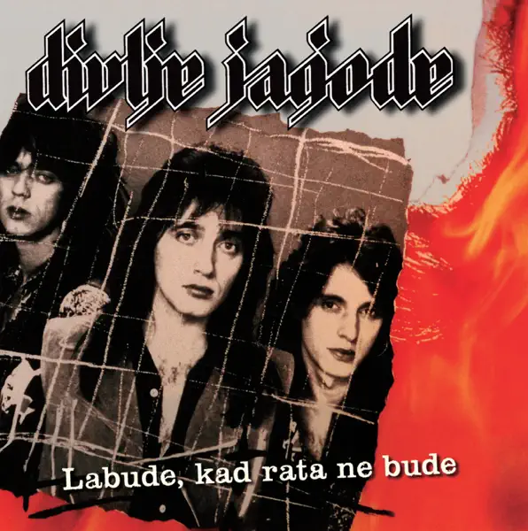 Ljubav Može Sve — Divlje Jagode