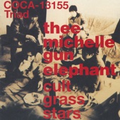 THEE MICHELLE GUN ELEPHANT - トカゲ