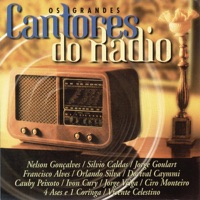 Coqueiro velho