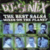 Salsa Mixes