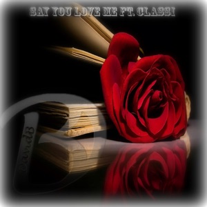 Say You Love Me (feat. Classi) - Single
