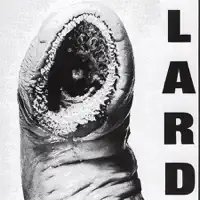 The Power of Lard — Lard