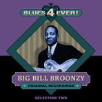 Blues 4 Ever! - Selection 2