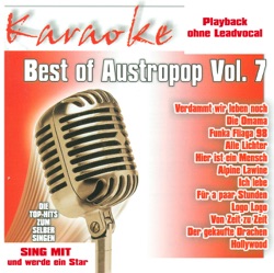 Karaokefun - Für a paar Stunden