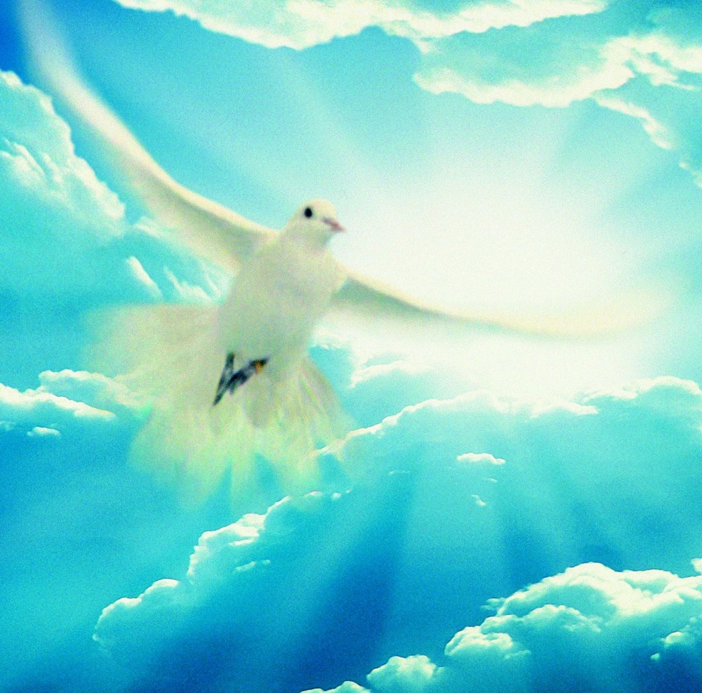 Обложка альбома «Peace - Music for Reflection and Consolation» — Various Artists