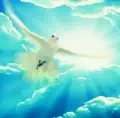 Agnus Dei