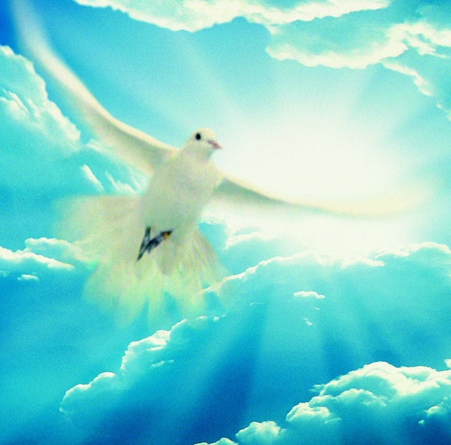 Agnus Dei (Choral Version of Adagio for Strings, Op. 11 No. 2) [Excerpt I]