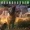 Soundgarden - Spoonman