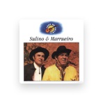 Sulino & Marrueiro