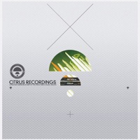 The Remixes - Single - Quadrant & Dabs