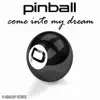 Pinball - Come Into My Dream (Single Mix)