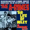 Bones