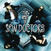 The Best of Spin Doctors