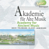 Double Concerto for Recorder and Flute in E minor, TWV 52:e1: II. Allegro
