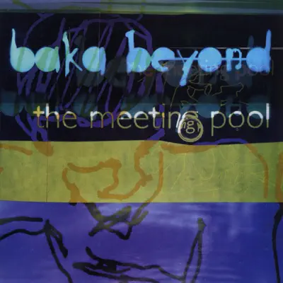 Hör dir „The Meeting Pool“ von Baka Beyond an