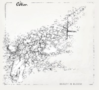 Beauty In Bloom - Odeon