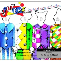 The Beginning Of The Enz - Split Enz