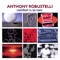 Temporary Clown - Anthony Robustelli lyrics