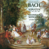 Violin Sonata No. 2 in A minor, BWV 1003 (arr. M. Mangold for guitar): I. Grave - Maximilian Mangold