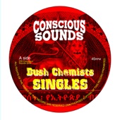 Bush Chemists - System (Dub 1)