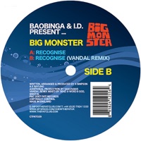 Recognise - EP (Vinyl) - Baobinga, Big Monster & I.D.