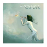 Mystery Trip — Auditory Canvas