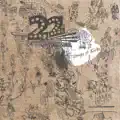 Space Riding