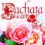 Bachata de Amor, Vol. 4