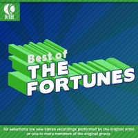 The Fortunes - That Same Old Feeling (Rerecorded)