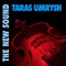 Fiddler - Taras Umrysh lyrics