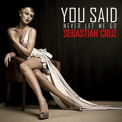 You Said (Never Let Me Go) - Single