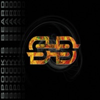 Spock's Beard - On a Perfect Day