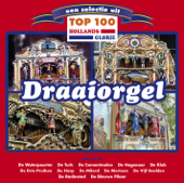 Tulpen Uit Amsterdam