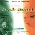 Irish Ways & Irish Laws