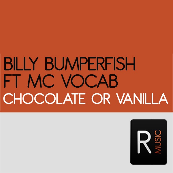 Chocolate or Vanilla (feat. Mc Vocab)