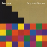 Party In the Basement - Pete Levin