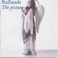 Buffseeds - Casino