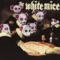 Slo Poison - The White Mice lyrics