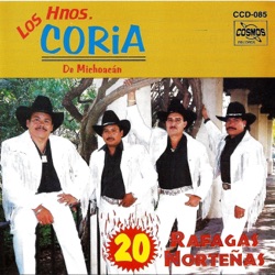 Los Hnos Coria De Michoacan - Tu Delirio