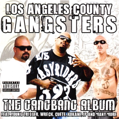 Young Trigger aka Mr Youngster - Where My Hood At