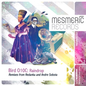 Raindrop (Andre Sobota Remix)
