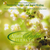 Cover art for Successful Surgery and Rapid Healing - EP by David Wilson